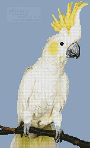 cross stitch pattern Sulphur Crested Cockatoo