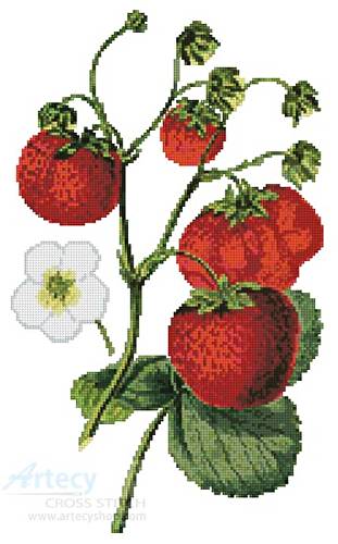 cross stitch pattern Strawberries