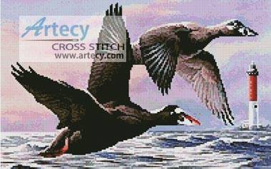 cross stitch pattern Surf Scoter Ducks