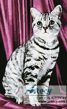 cross stitch pattern Tabby