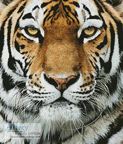 cross stitch pattern Tiger Portrait