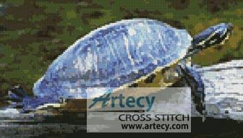 cross stitch pattern Turtle Photo