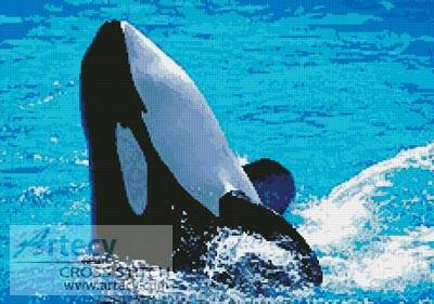 cross stitch pattern Whale 2