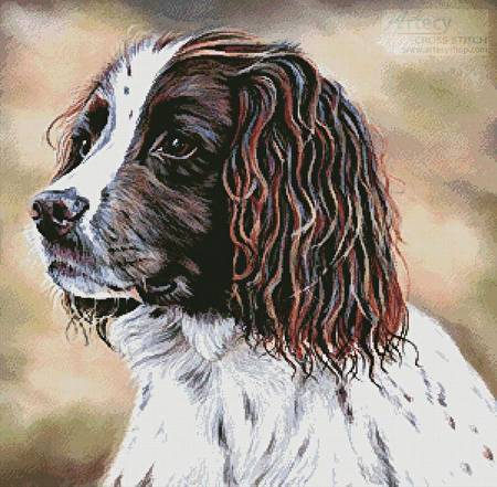 cross stitch pattern Zac