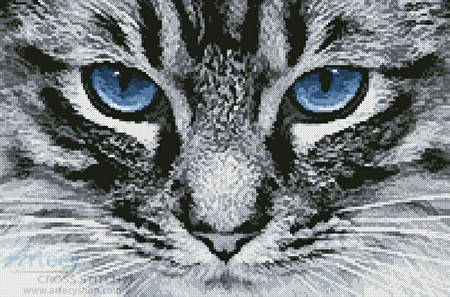 cross stitch pattern Blue Eyes 2