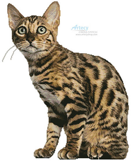 cross stitch pattern Bengal Cat