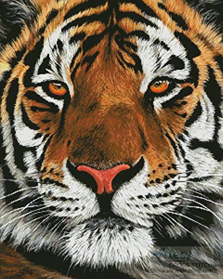 cross stitch pattern Bengal Tiger Portrait