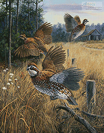 cross stitch pattern Covey Rise