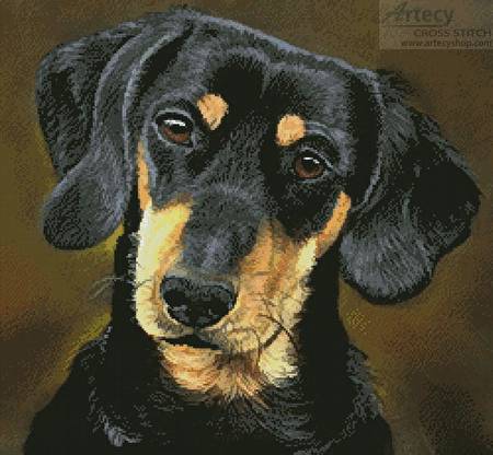 cross stitch pattern Dachshund Portrait