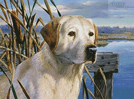 cross stitch pattern Duck Alert