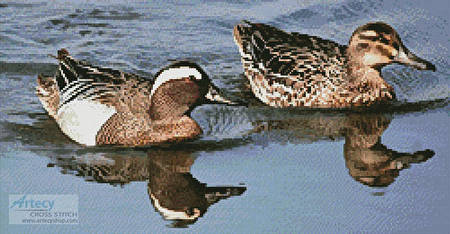 cross stitch pattern Garganey Ducks