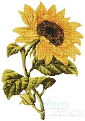 cross stitch pattern Golden Sunflower