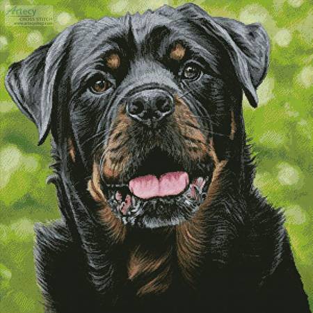 cross stitch pattern George