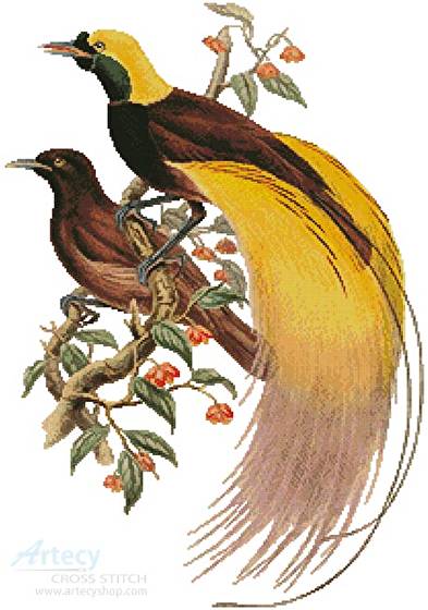 cross stitch pattern Greater Bird of Paradise
