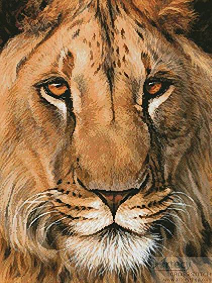 cross stitch pattern Lion Portrait