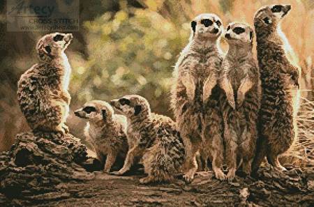 cross stitch pattern Meerkat Family