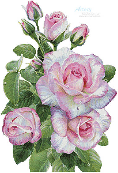 cross stitch pattern Morning Roses
