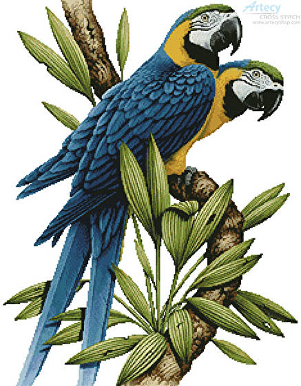 cross stitch pattern Majestic Macaws