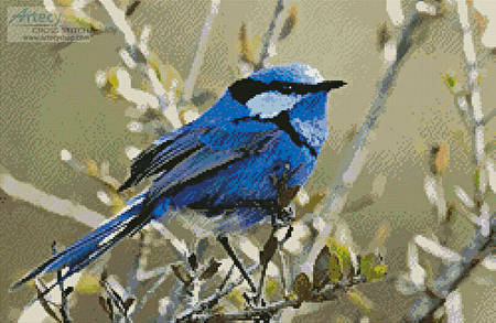 cross stitch pattern Male Splendid Fairy Wren 3