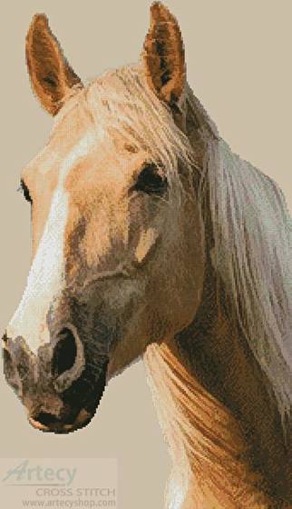 cross stitch pattern Palomino Horse