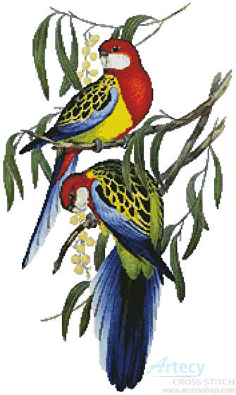 cross stitch pattern Rosehill Parakeets