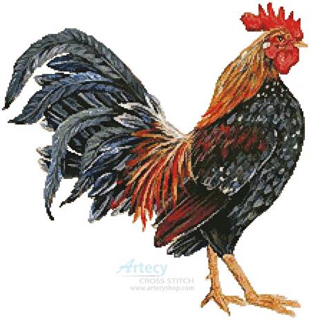 cross stitch pattern Rooster 4