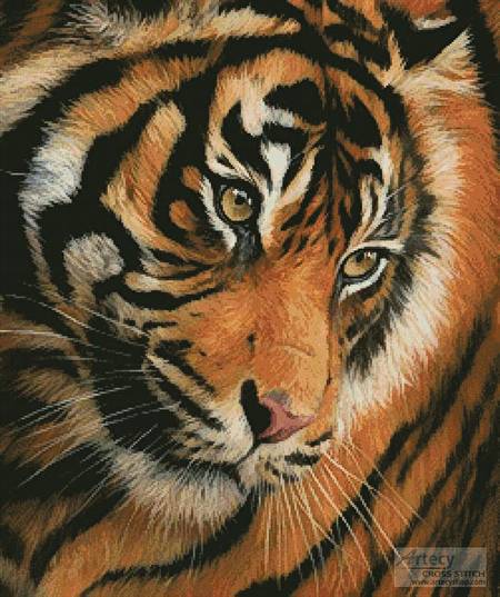 cross stitch pattern Tiger Face Portrait