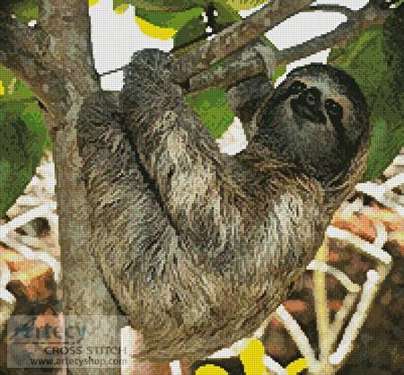 cross stitch pattern Three Toed Sloth