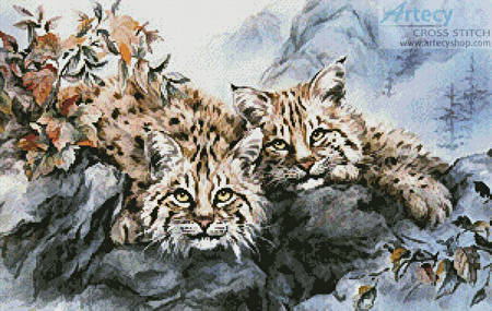 cross stitch pattern Vista