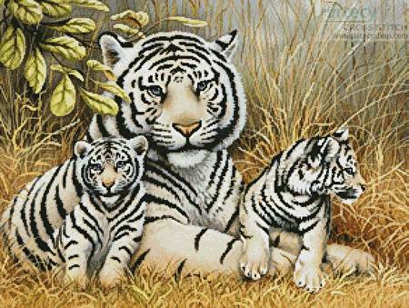 cross stitch pattern White Tiger and Cubs