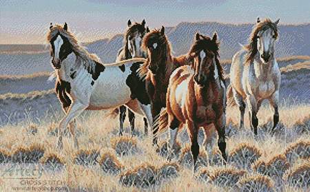 cross stitch pattern Young Blood