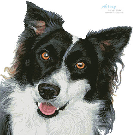 cross stitch pattern Border Collie Painting