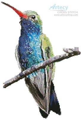 cross stitch pattern Broad-billed Hummingbird