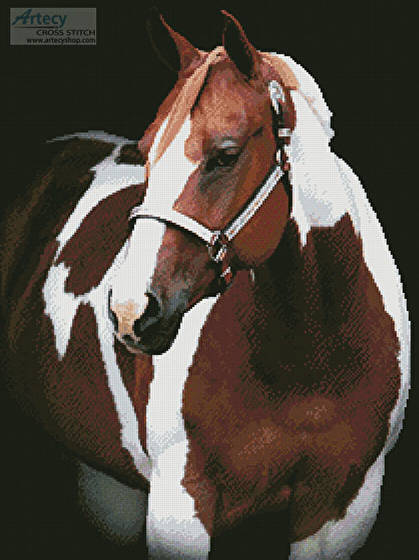 cross stitch pattern Beauty in the Shadows 2