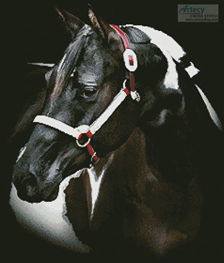 cross stitch pattern Beauty in the Shadows