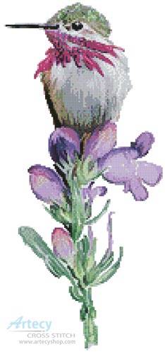cross stitch pattern Calliope Hummingbird