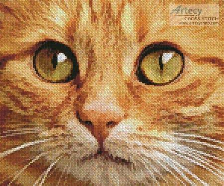 cross stitch pattern Ginger Cat Close Up
