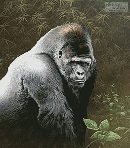 cross stitch pattern Great Ape
