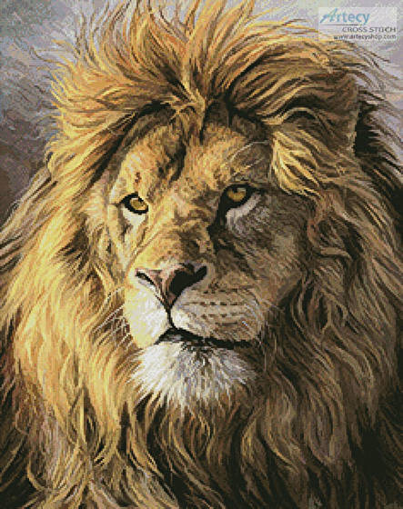 cross stitch pattern Portrait of a Lion