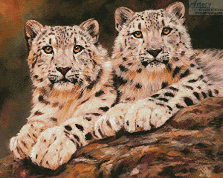 cross stitch pattern Pair of Young Snow Leopards