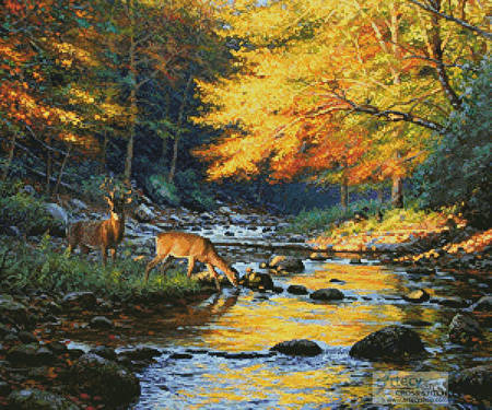 cross stitch pattern Quiet Encounter