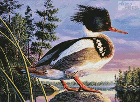 cross stitch pattern Red-Breasted Merganser