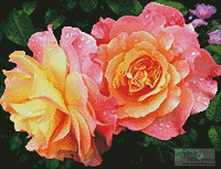 cross stitch pattern Roses in a Garden