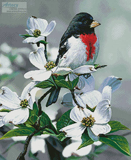 cross stitch pattern Springtime Grosbeak
