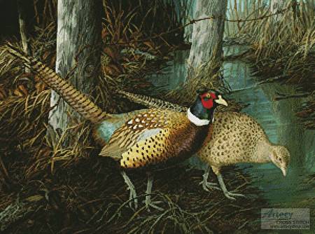 cross stitch pattern The Watering Place