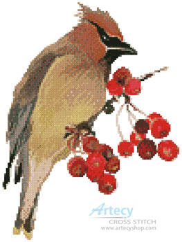 cross stitch pattern Waxwing