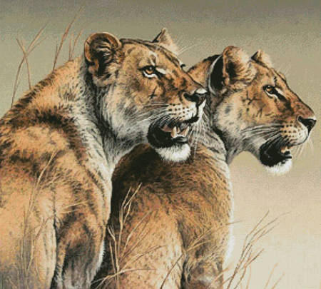 cross stitch pattern Abosisi (Sisters)