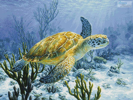 cross stitch pattern Ancient Mariner