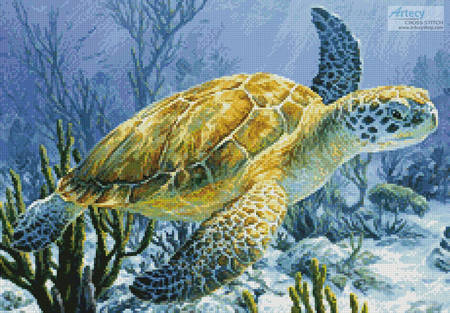 cross stitch pattern Ancient Mariner (Crop)