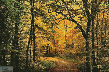 cross stitch pattern Autumn Forest